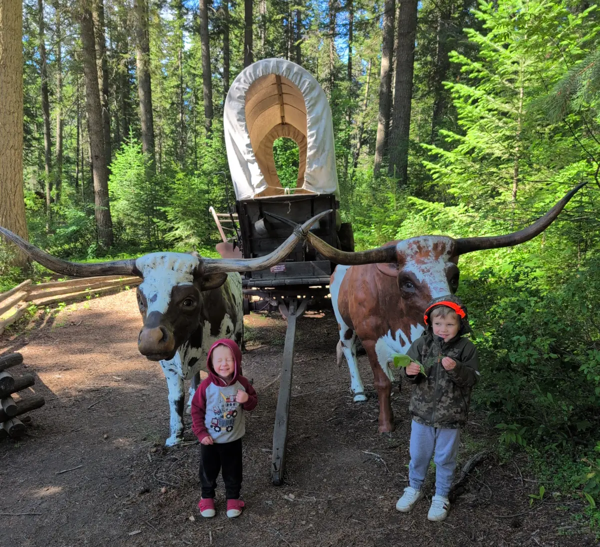 The boys find a wagon at our campsite